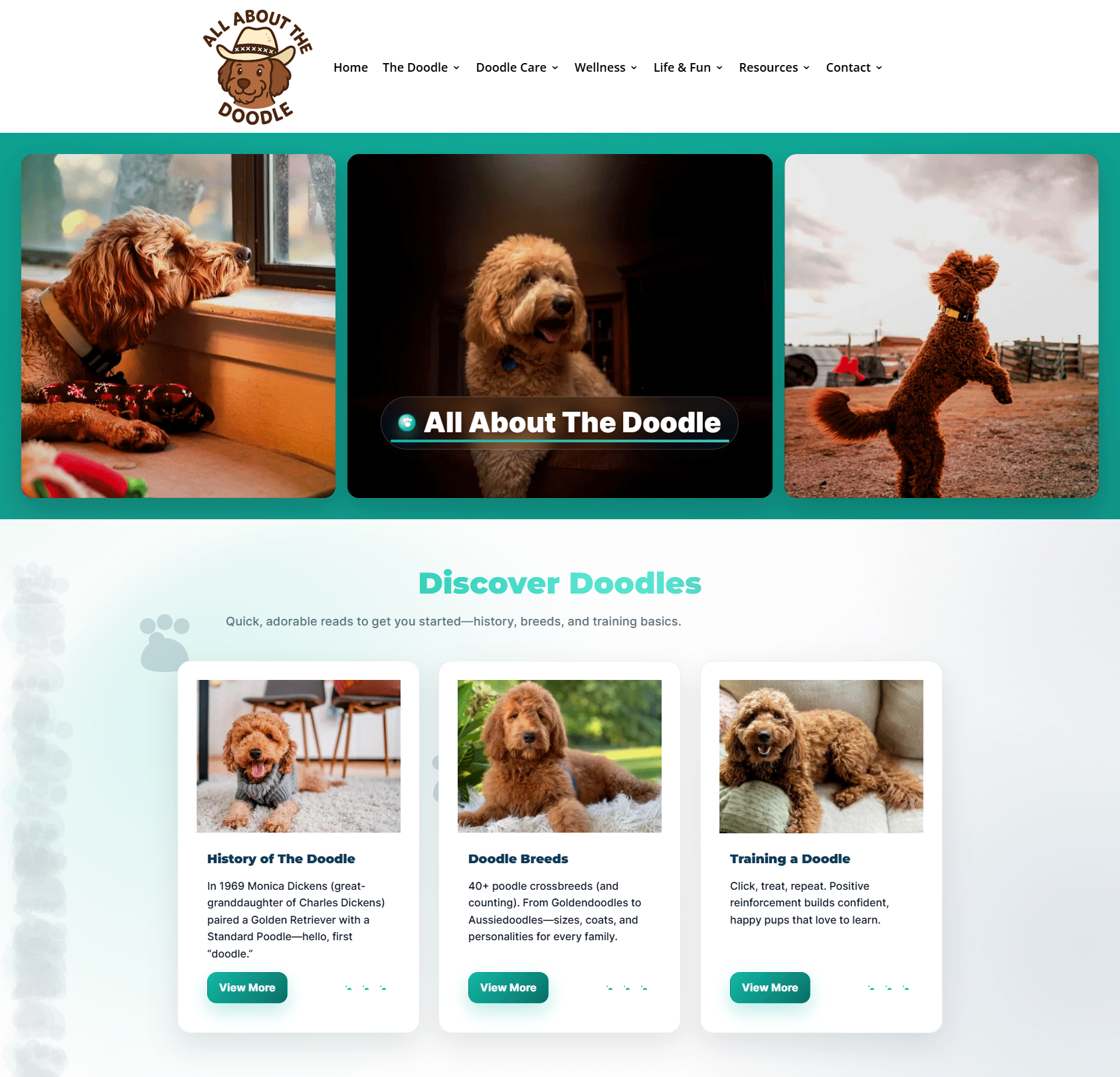 All About The Doodles — website preview